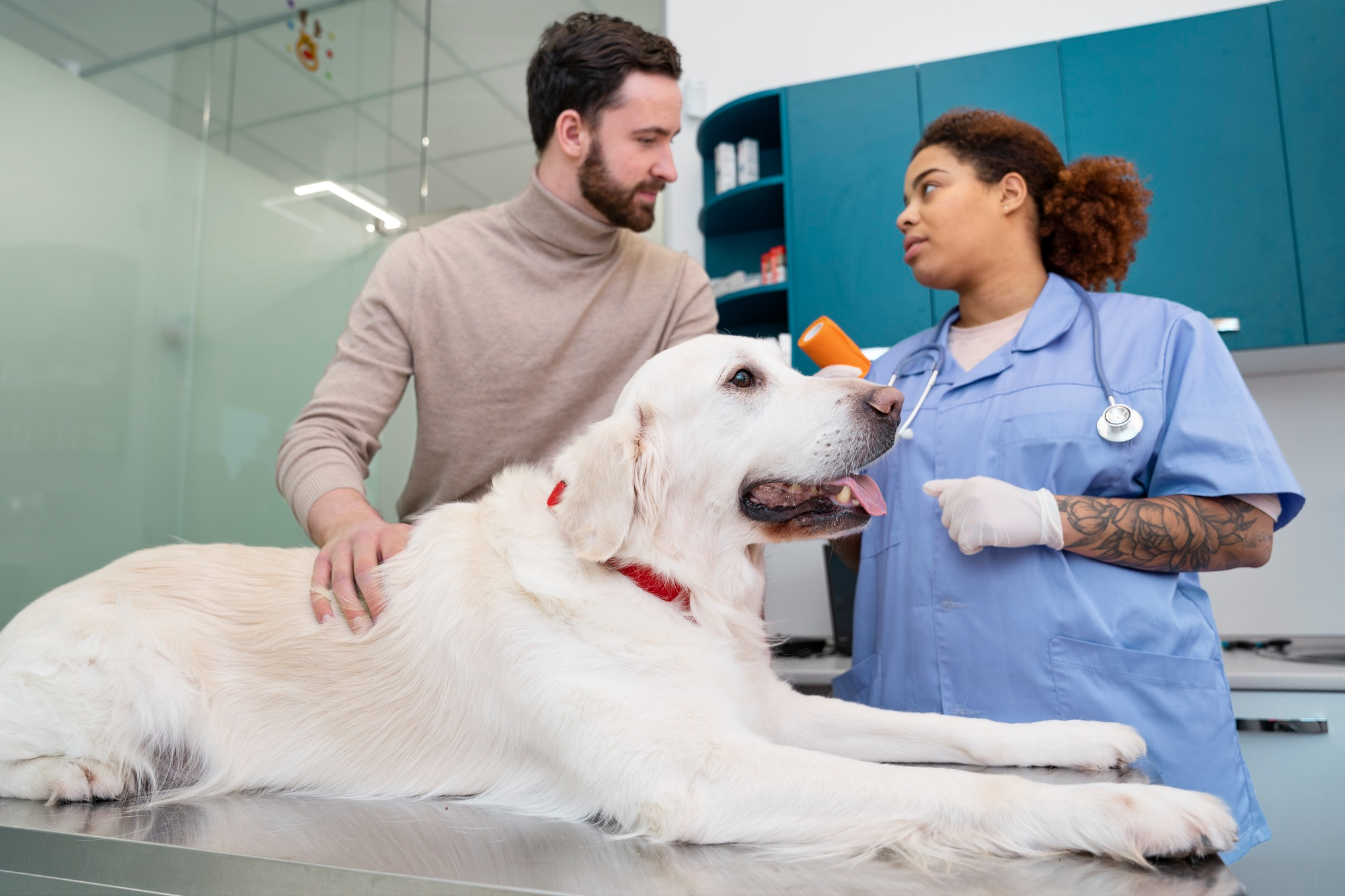 thumbnail grande Servicio de Ambulancia Veterinaria